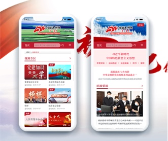 北疆網(wǎng)黨建APP UI設計